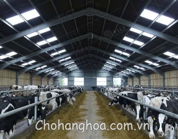 nha thep tien che 5