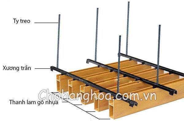 cau tao tran nhua 2