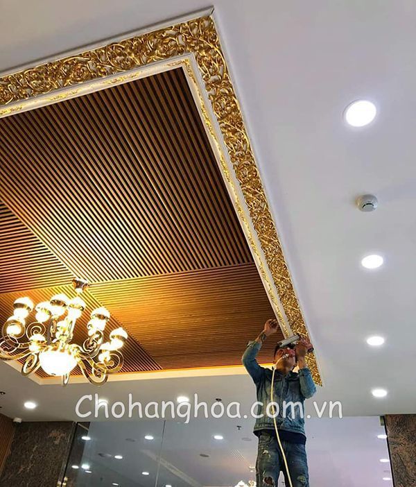 tran nhua lam song 10